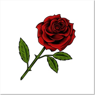 Red Rose Posters and Art